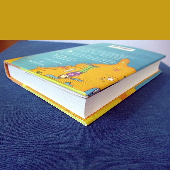 Book: The Grand Plan to Fix Everything by Uma Krishnaswami - Picture 6 of 9